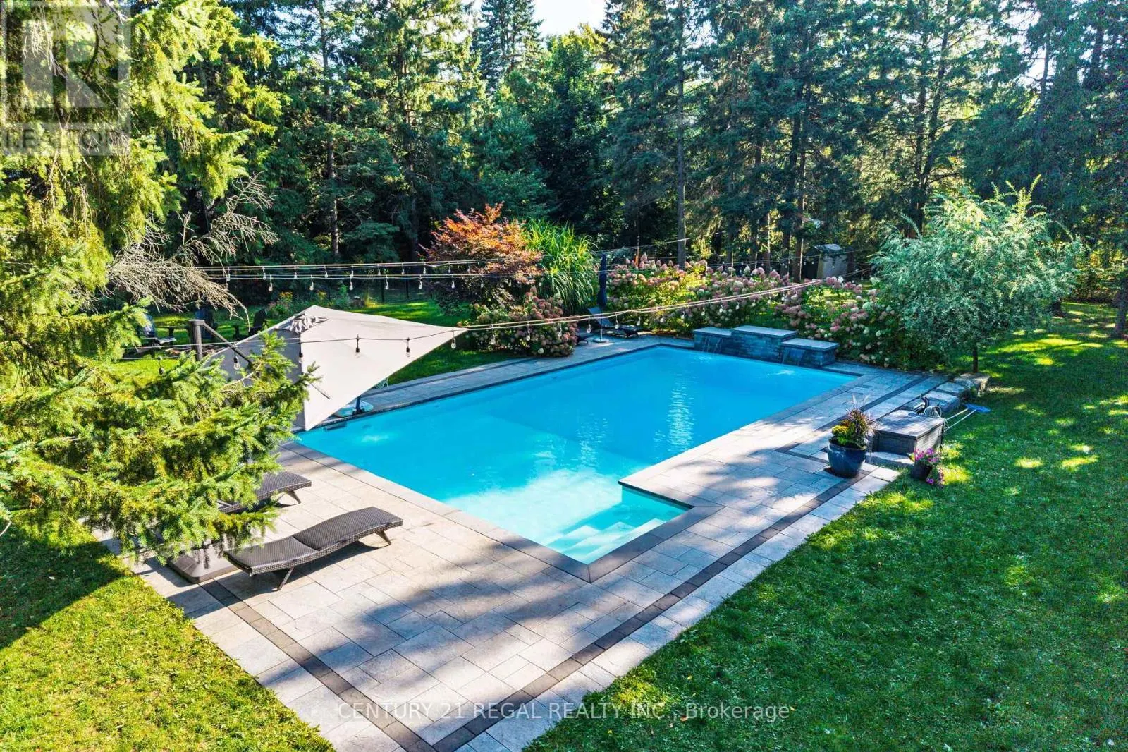 4434 CEDAR SPRINGS ROAD