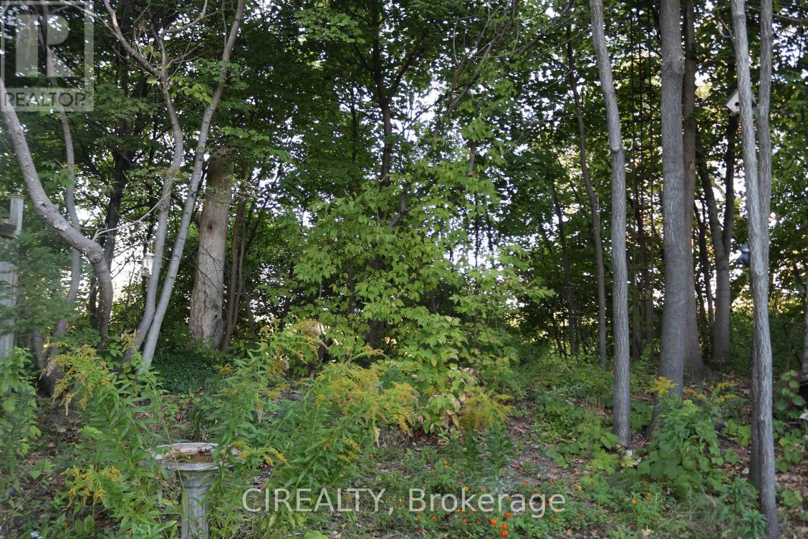 140 ELLINS AVENUE