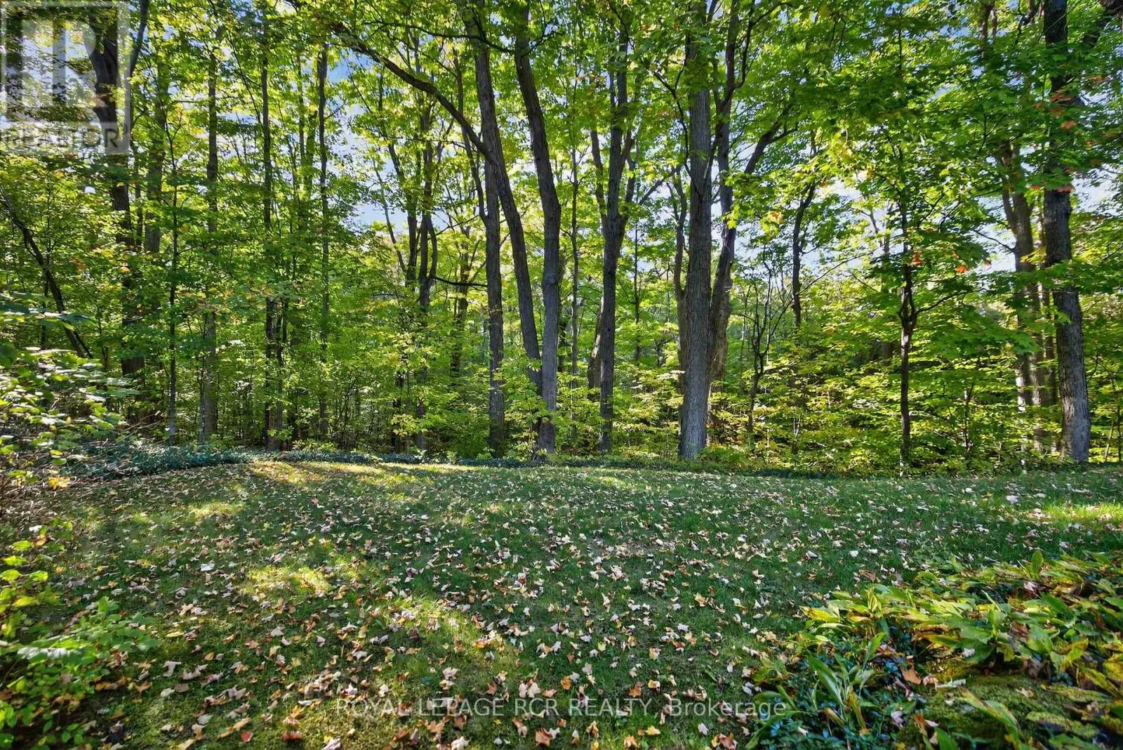20 CALEDON MOUNTAIN DRIVE