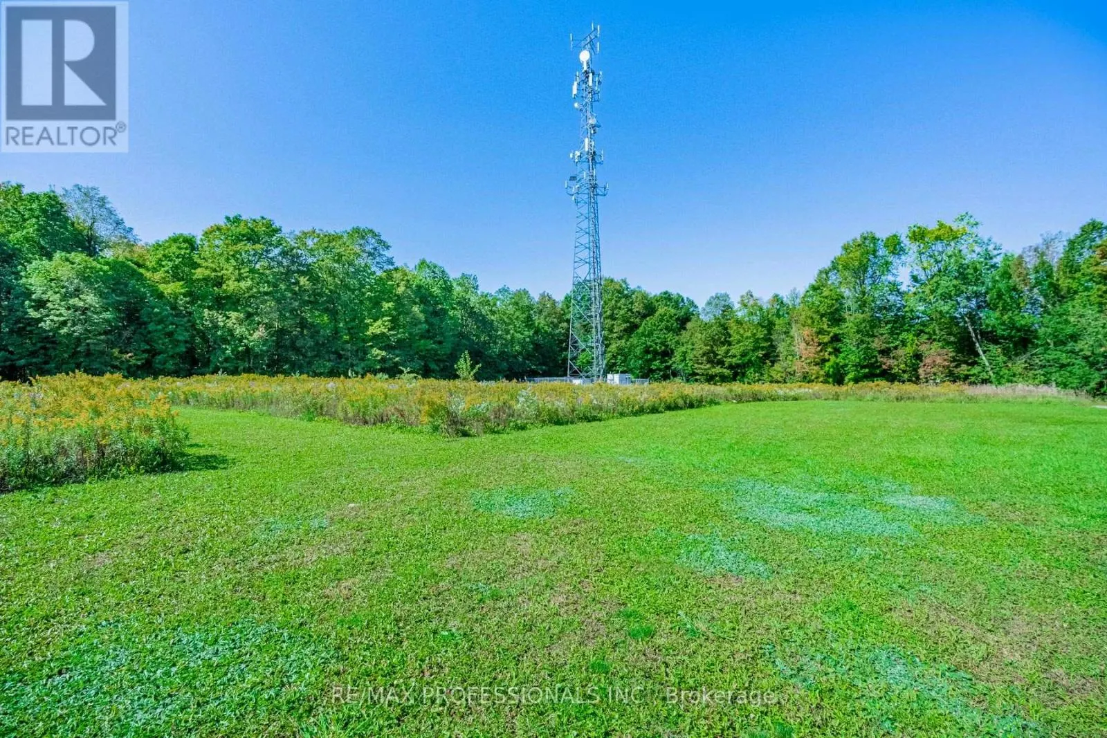 13908 TRAFALGAR ROAD