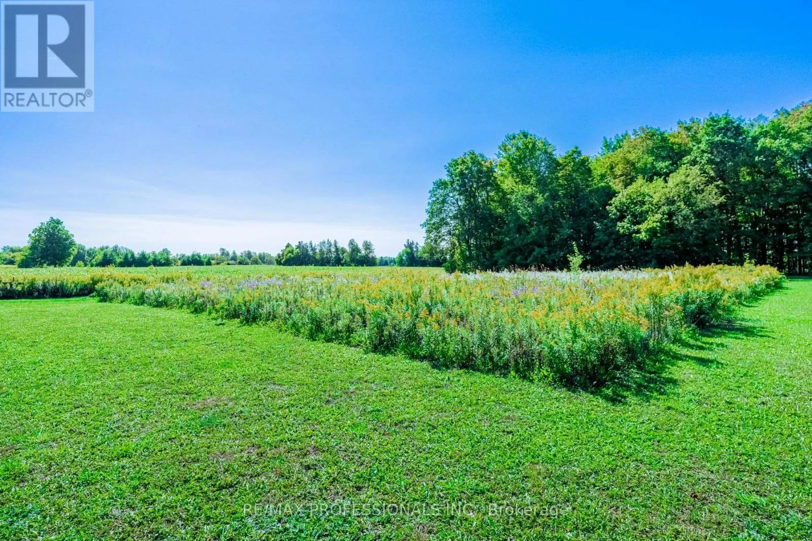 13908 TRAFALGAR ROAD