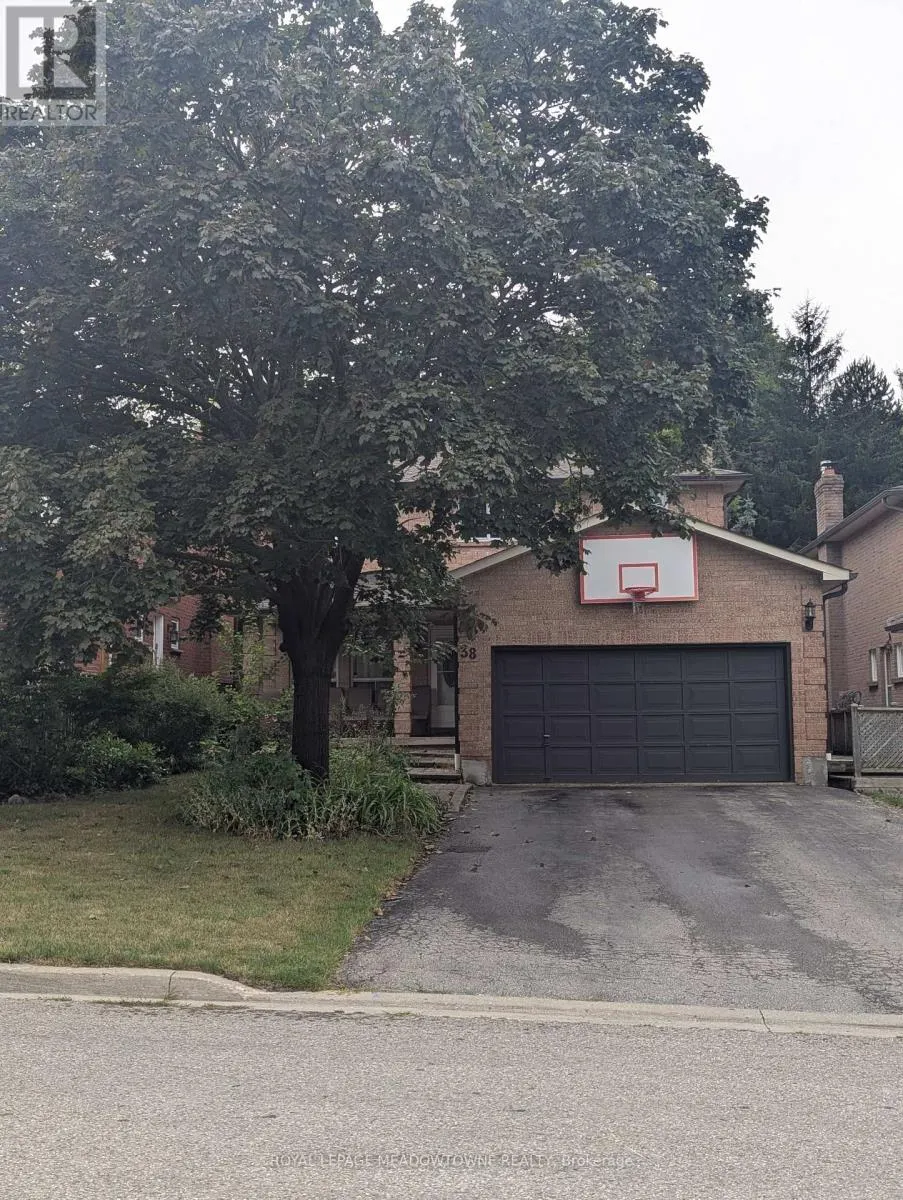 38 BAMBI TRAIL