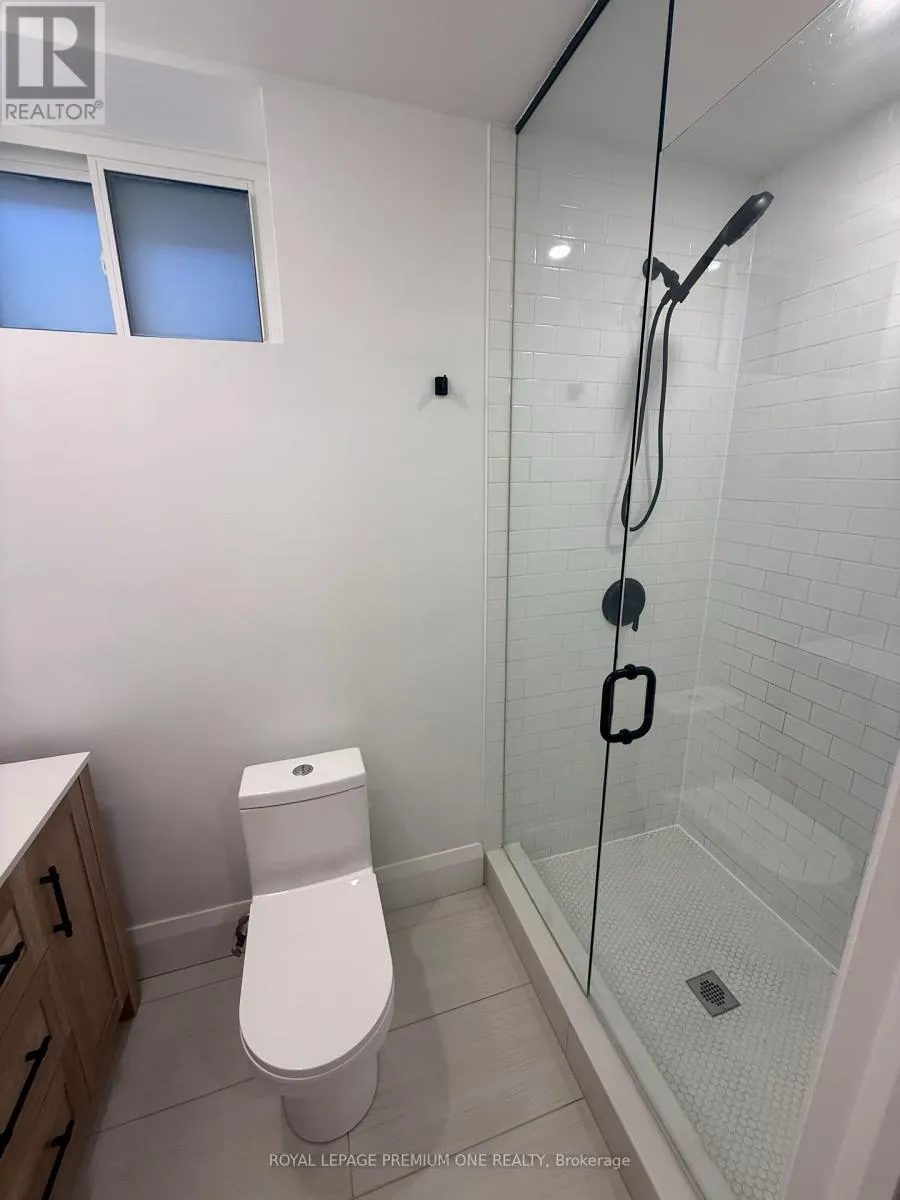 BASEMENT - 39 LONBOROUGH AVENUE