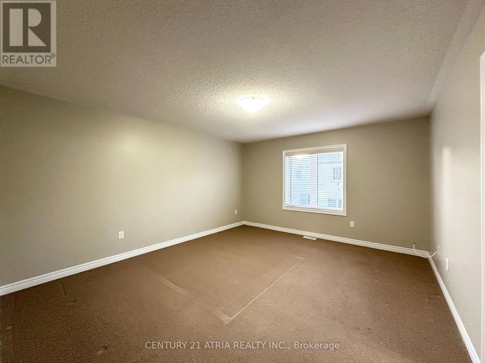 299 SARAH CLINE DRIVE