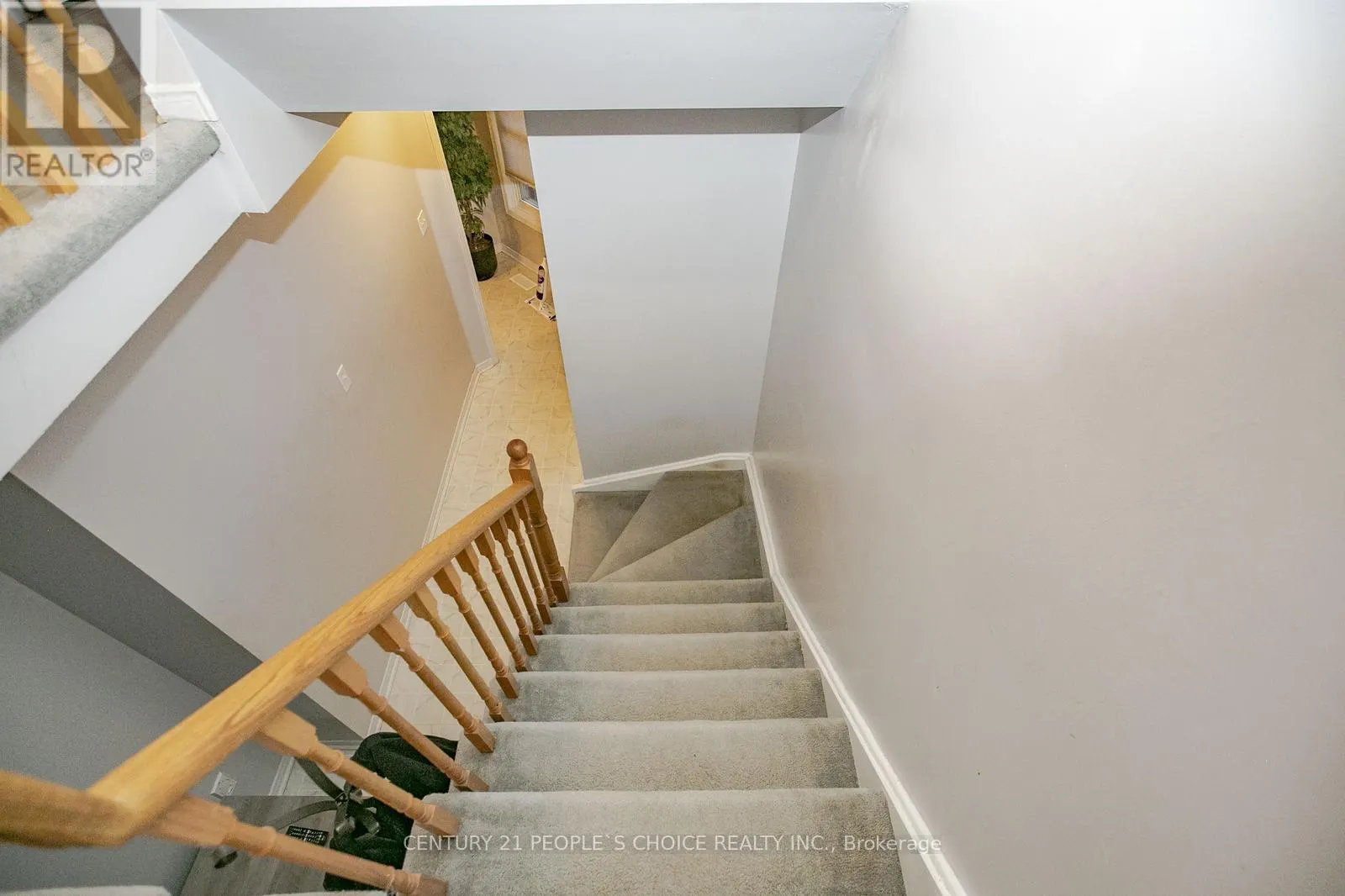 17 CARUSO DRIVE
