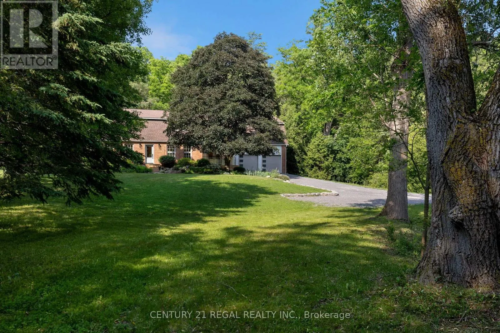 5535 CEDAR SPRINGS ROAD
