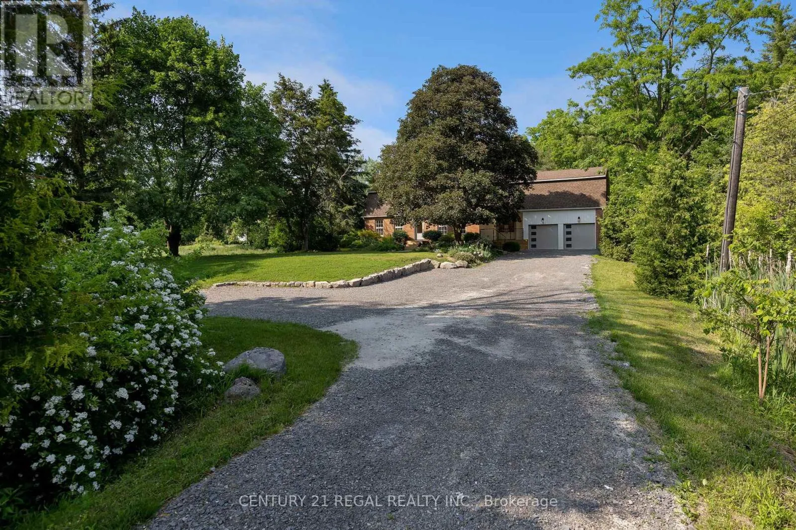 5535 CEDAR SPRINGS ROAD