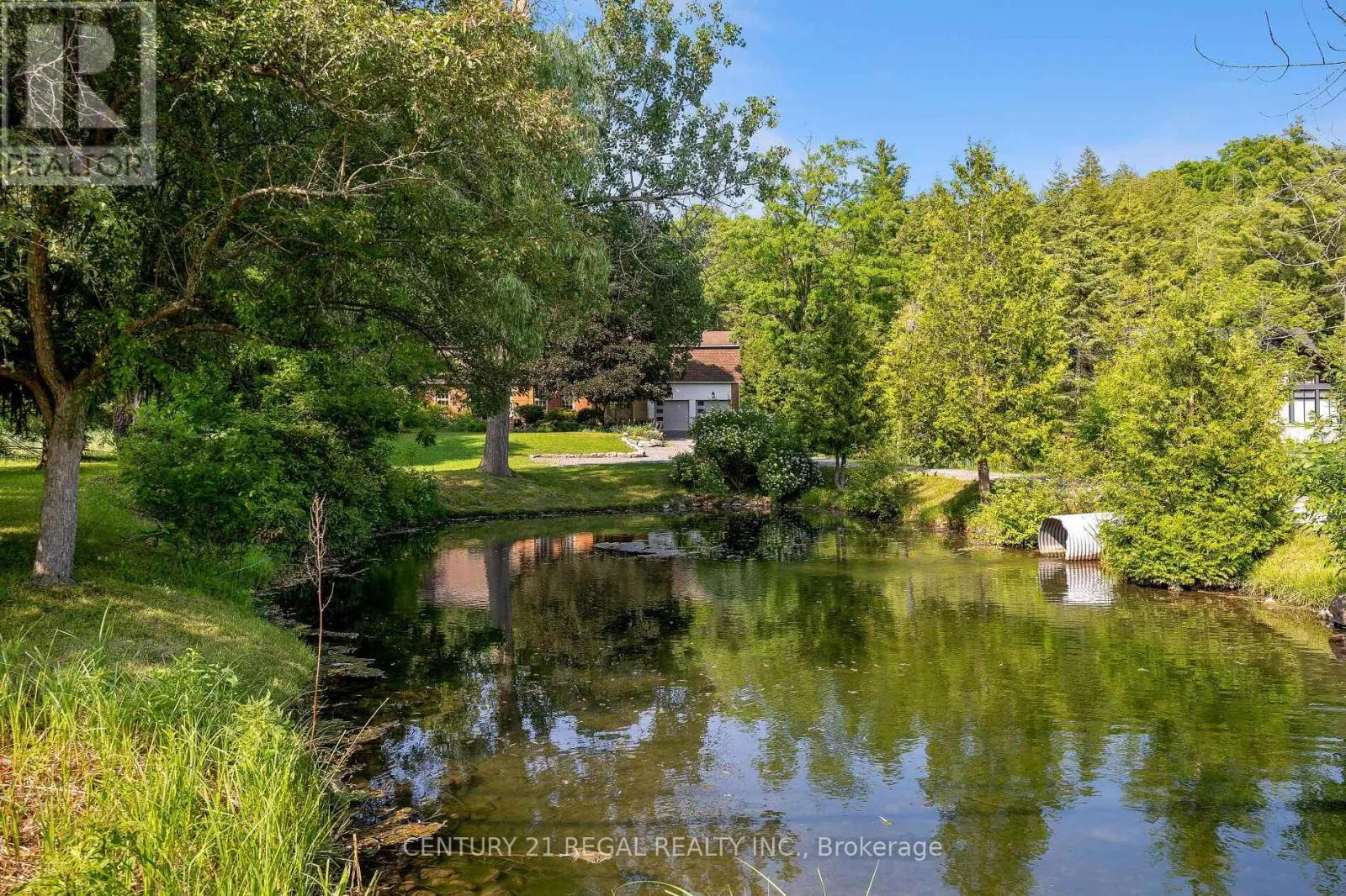 5535 CEDAR SPRINGS ROAD
