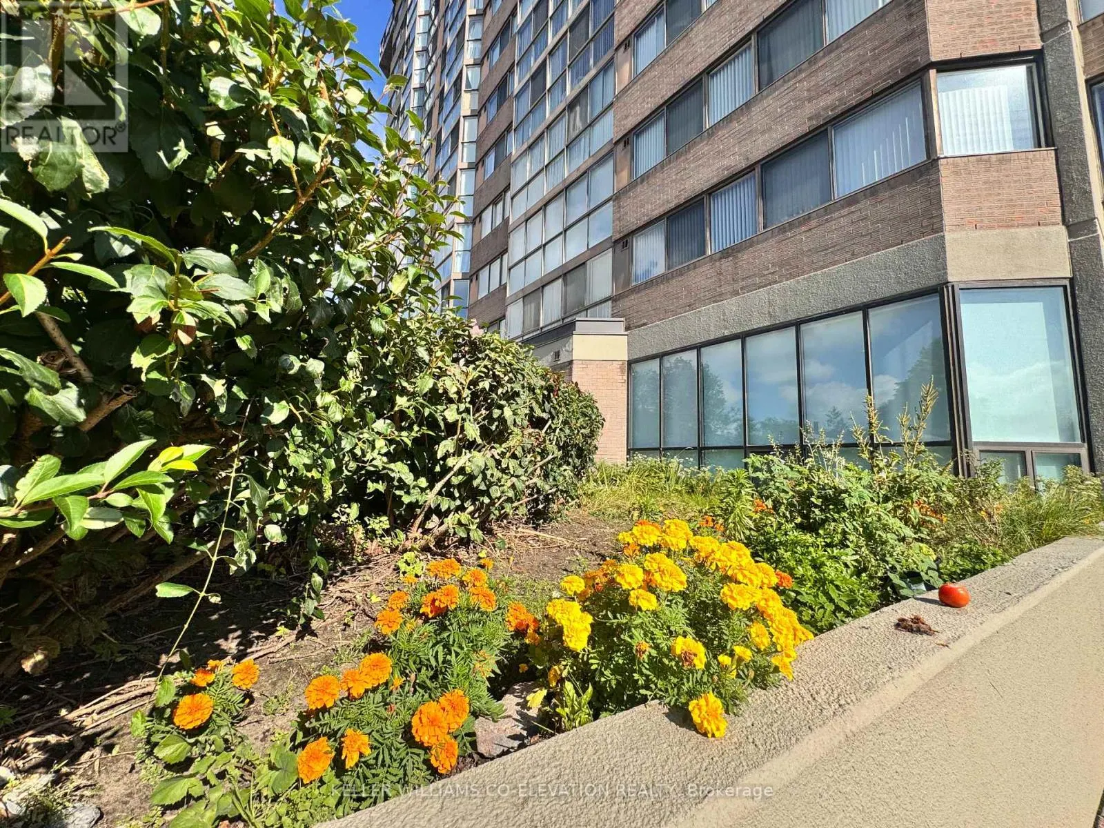 1604 - 880 DUNDAS STREET W