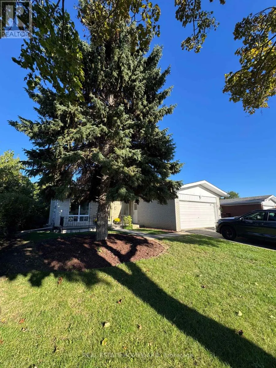 17 COLLINGDALE ROAD