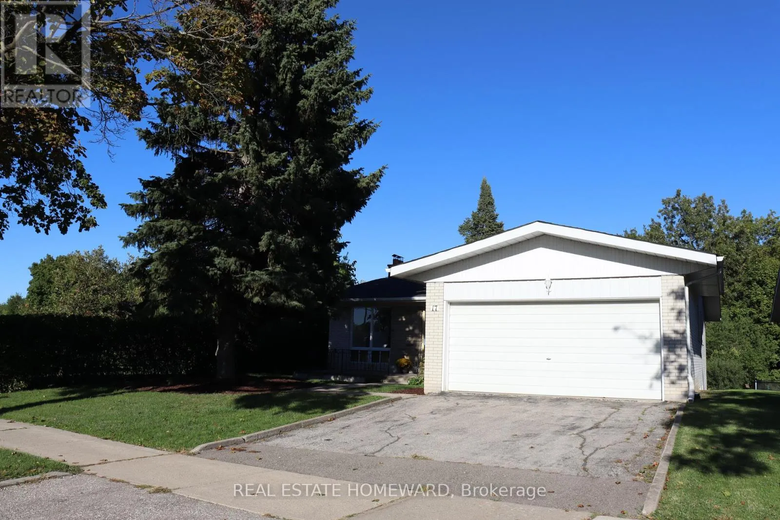 17 COLLINGDALE ROAD