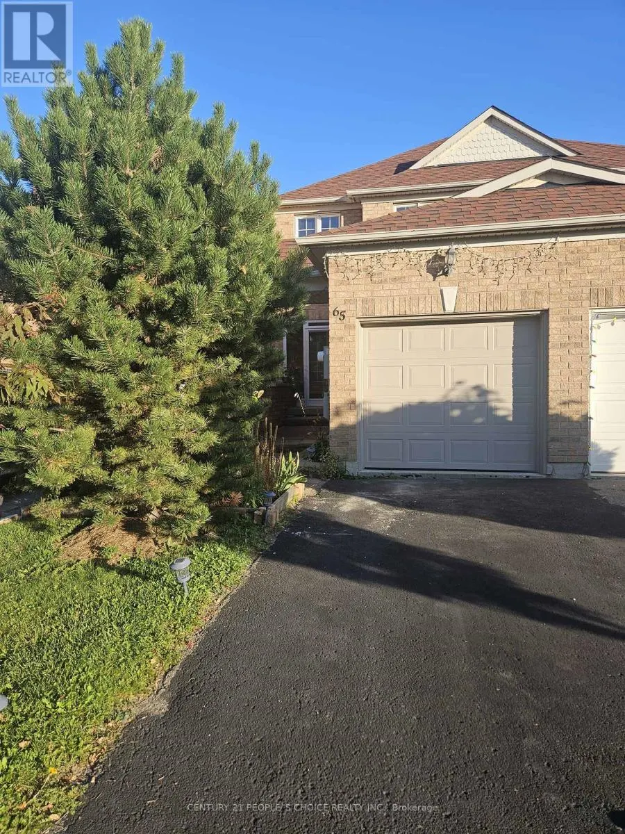 65 OLYMPIA CRESCENT