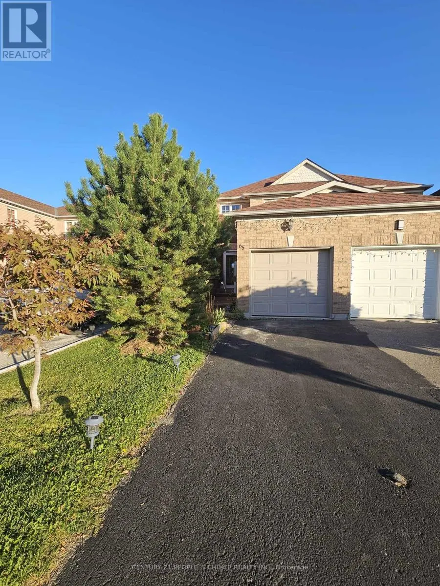 65 OLYMPIA CRESCENT