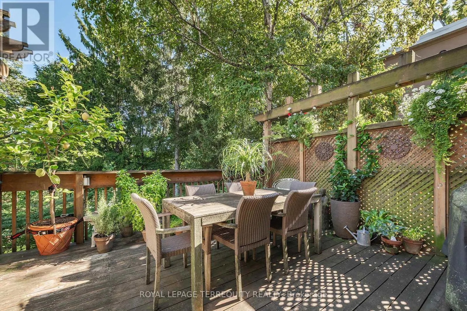 223 RIVERSIDE DRIVE