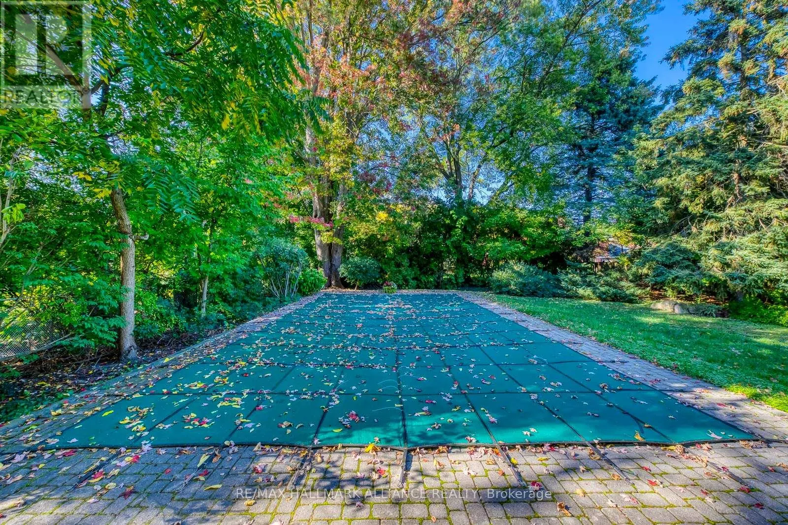 4447 LAKESHORE ROAD