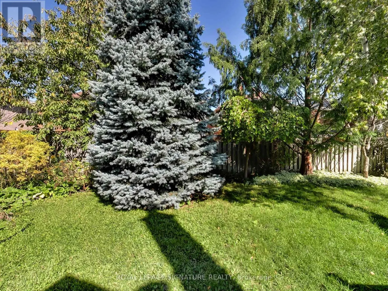 4342 VIOLET ROAD