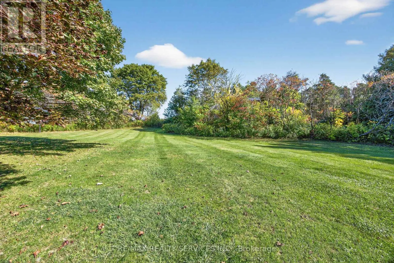 43 MCCORT DRIVE