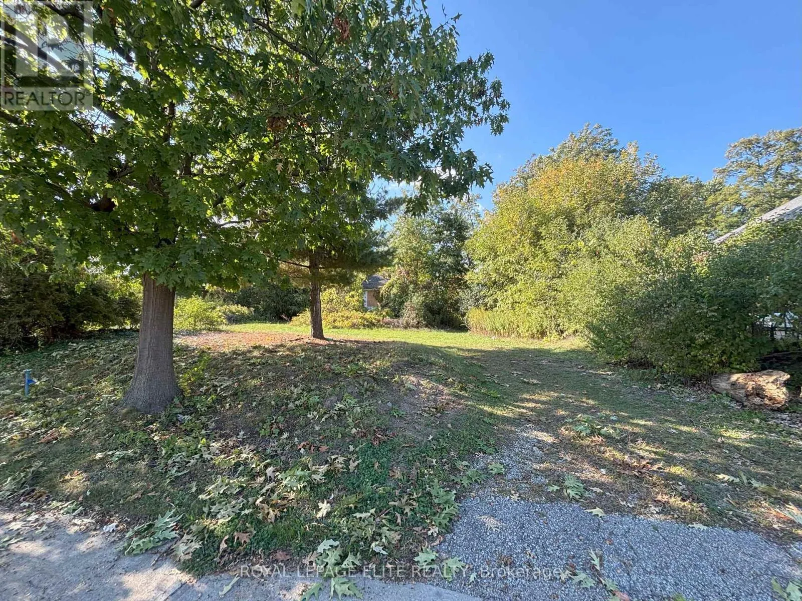 1631 EGLINTON AVENUE W