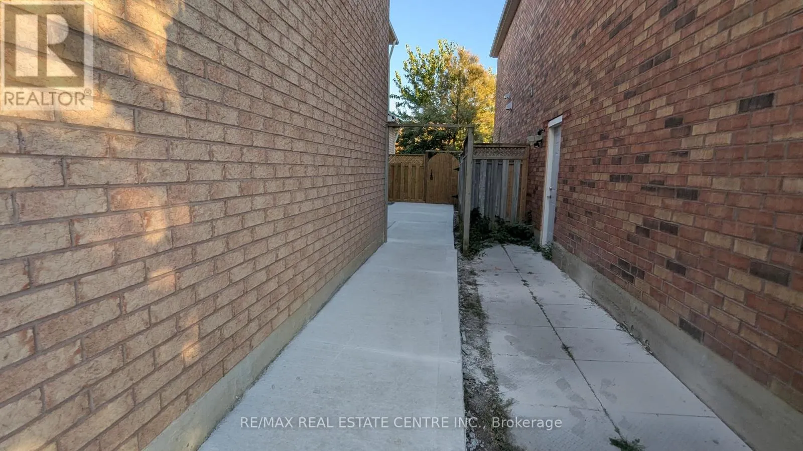 BASEMENT - 21 SUMMERDALE CRESCENT