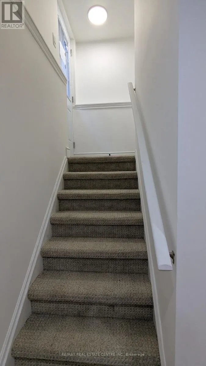 BASEMENT - 21 SUMMERDALE CRESCENT
