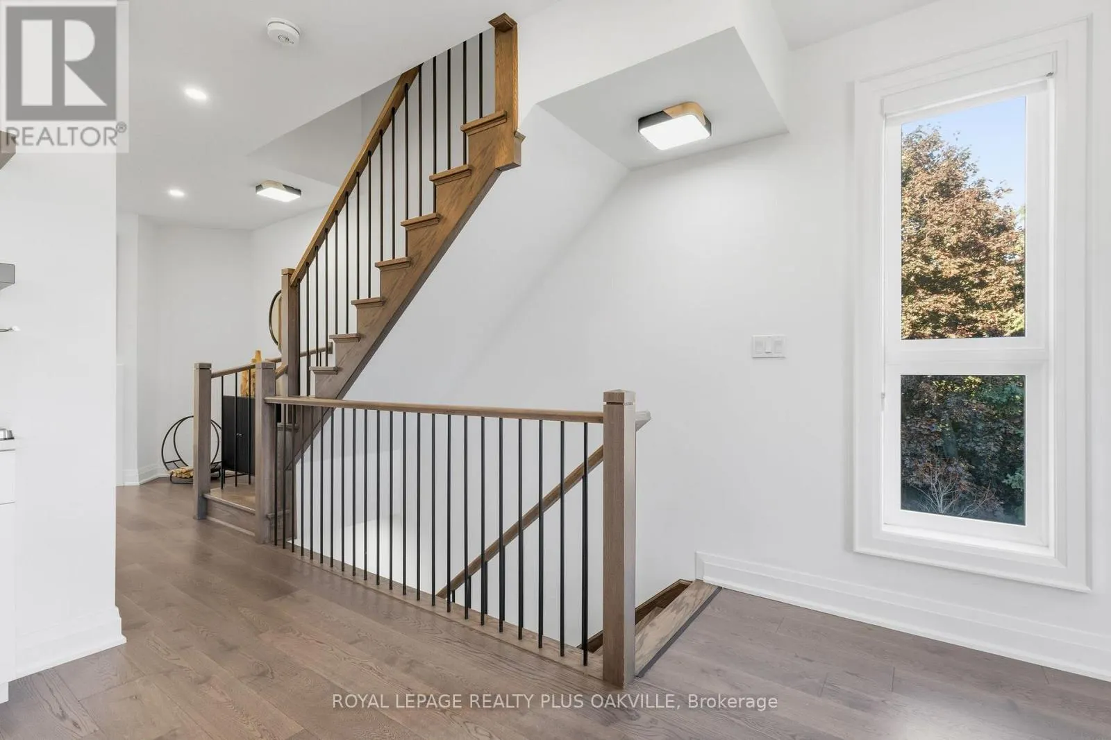 3228 ELLYN COMMON