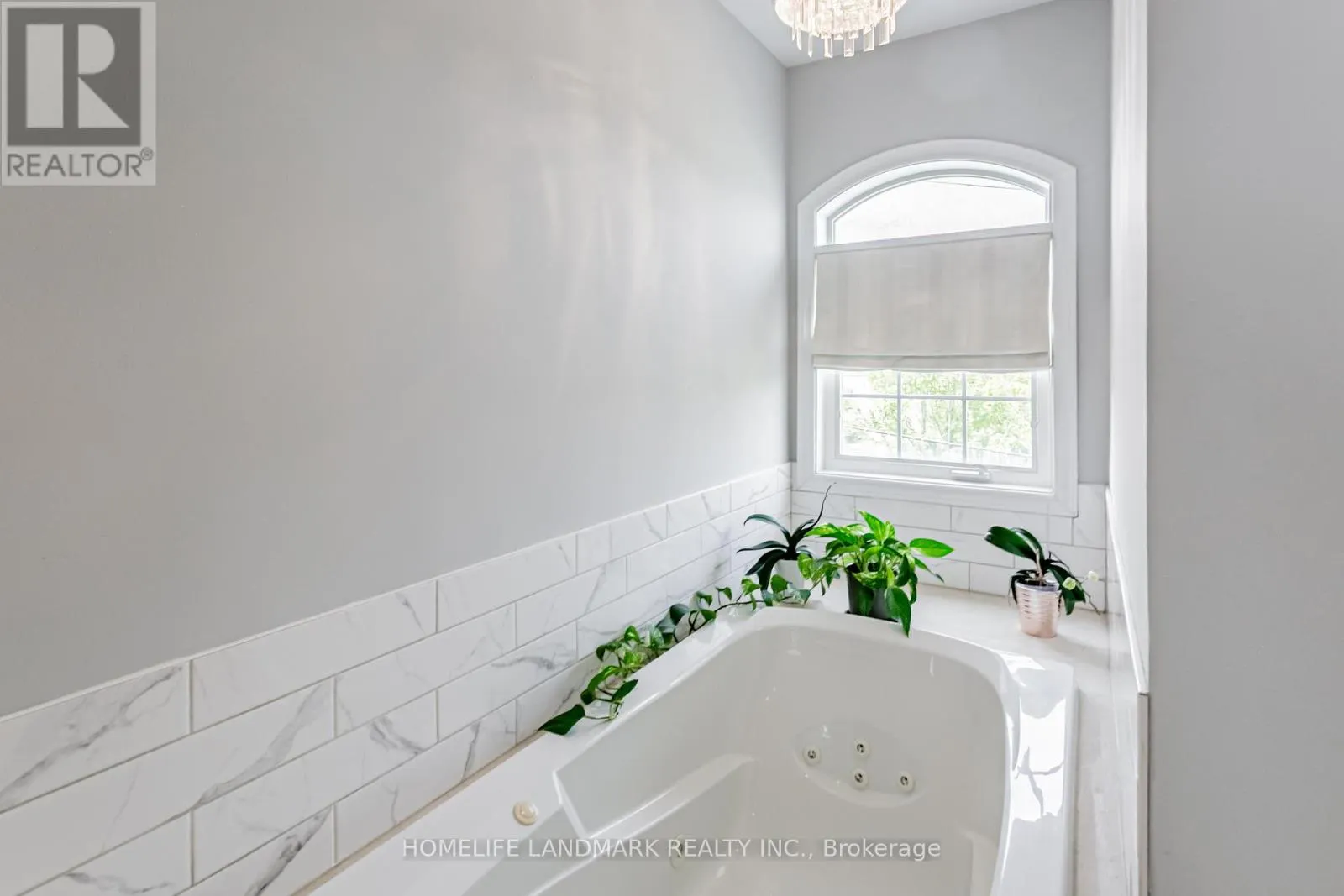 523B ROYAL YORK ROAD