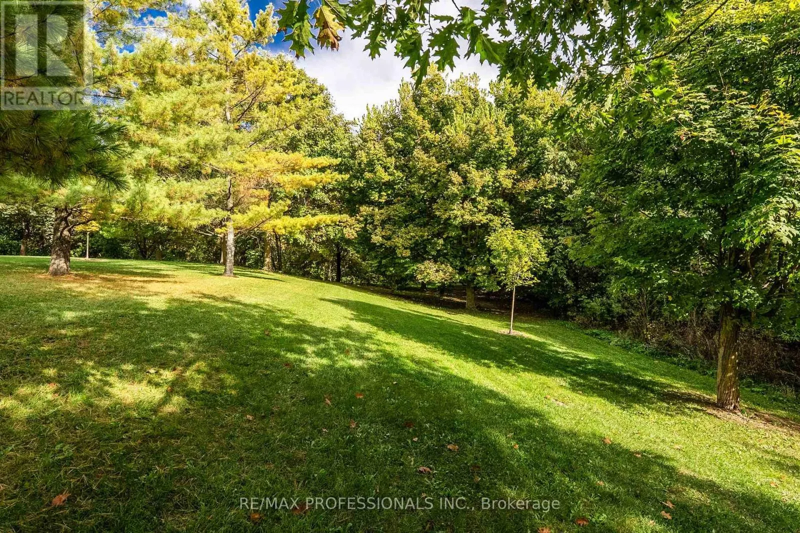 46 TAMARACK CIRCLE