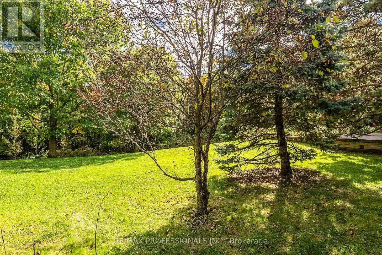 46 TAMARACK CIRCLE