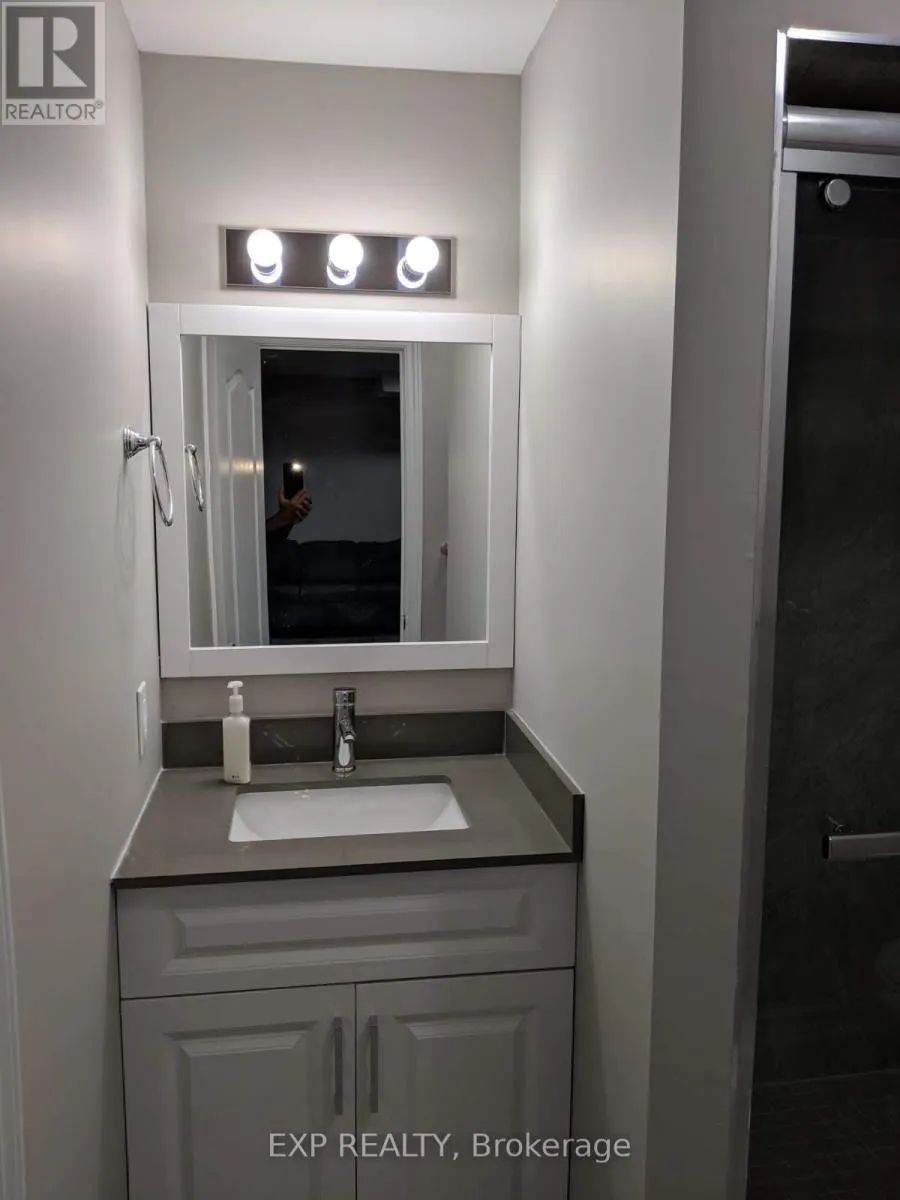 BASEMENT - 15 KALMIA ROAD