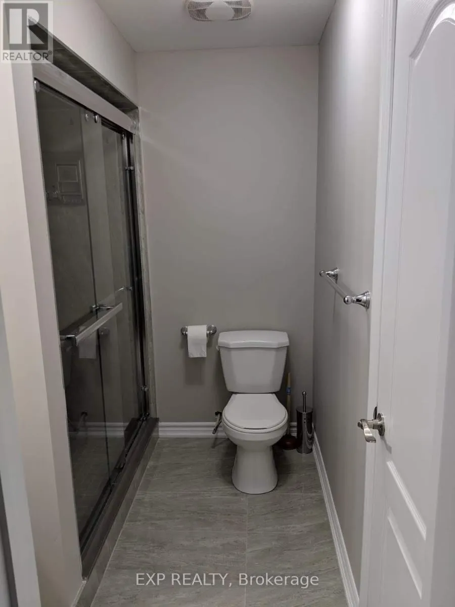 BASEMENT - 15 KALMIA ROAD
