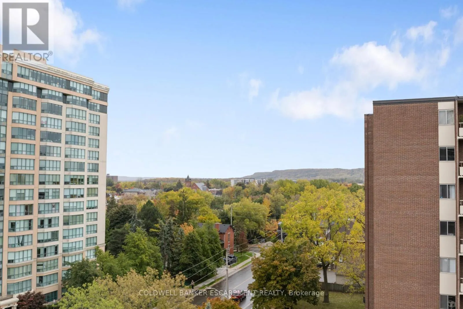 1005 - 81 MILLSIDE DRIVE