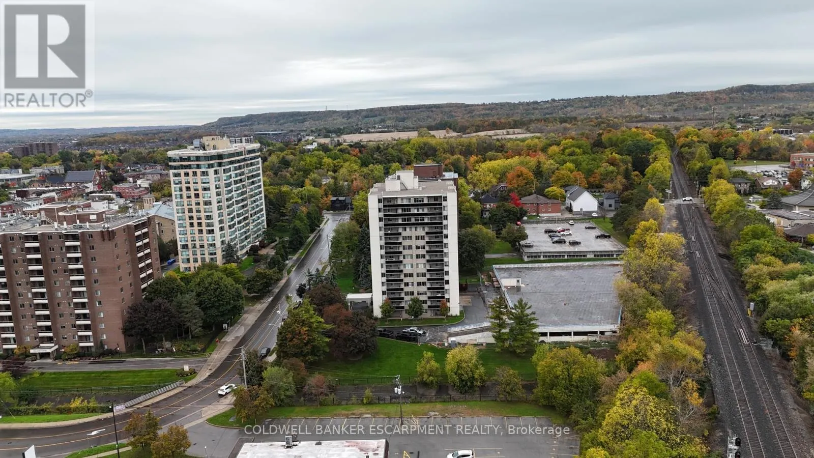 1005 - 81 MILLSIDE DRIVE