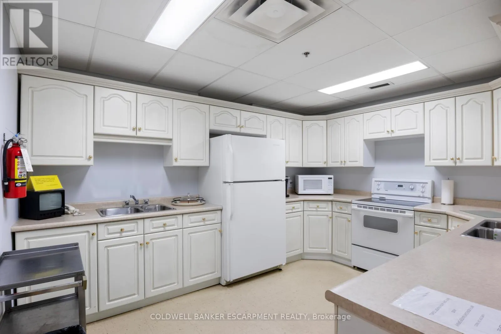 1005 - 81 MILLSIDE DRIVE