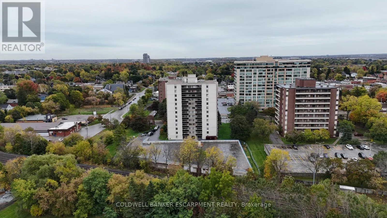1005 - 81 MILLSIDE DRIVE
