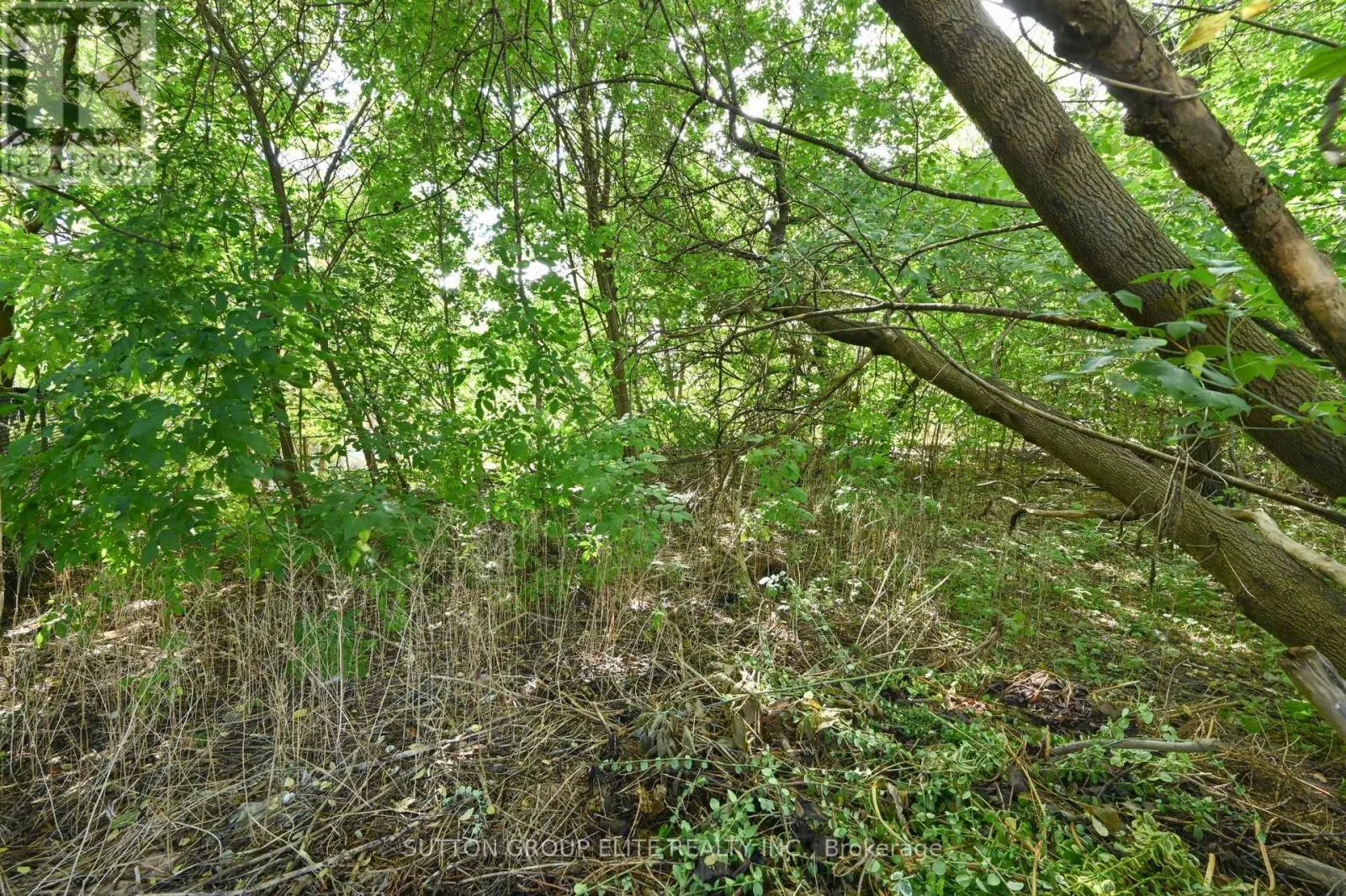 1238 CLAREDALE ROAD