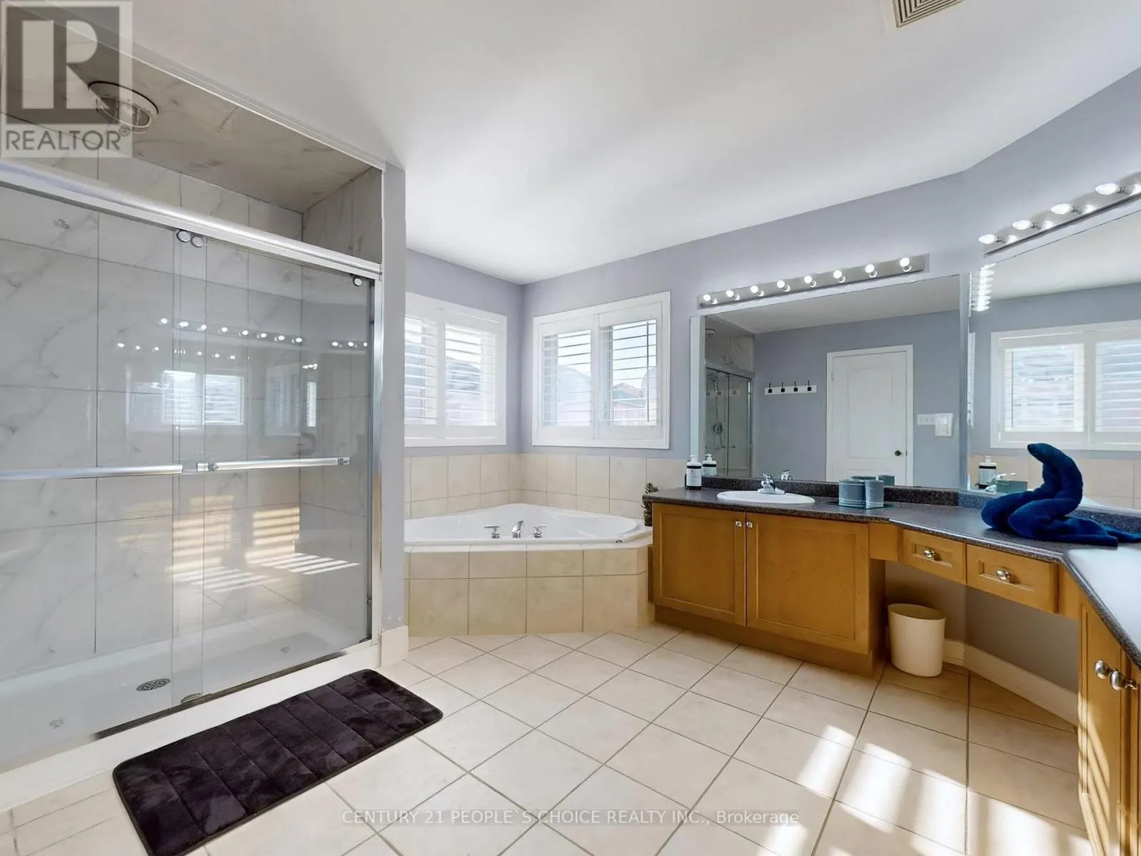 230 EDENBROOK HILL DRIVE