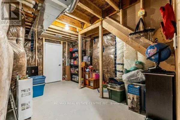 50 ROYAL FERN CRESCENT