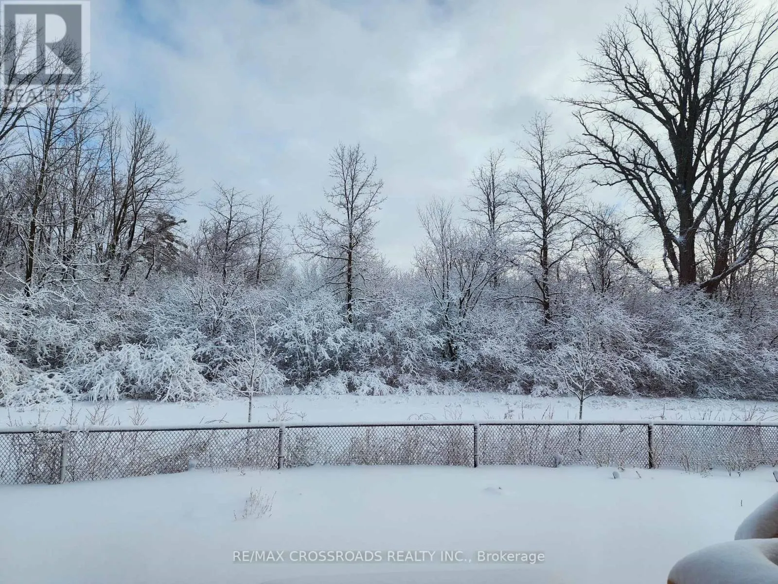 3333 MOCKINGBIRD COMMON E