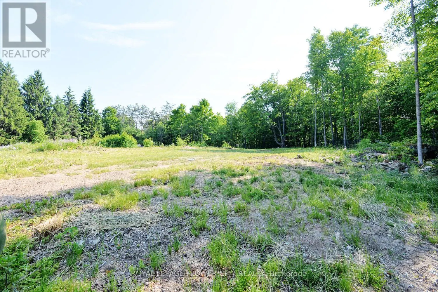 15790 MISSISSAUGA ROAD