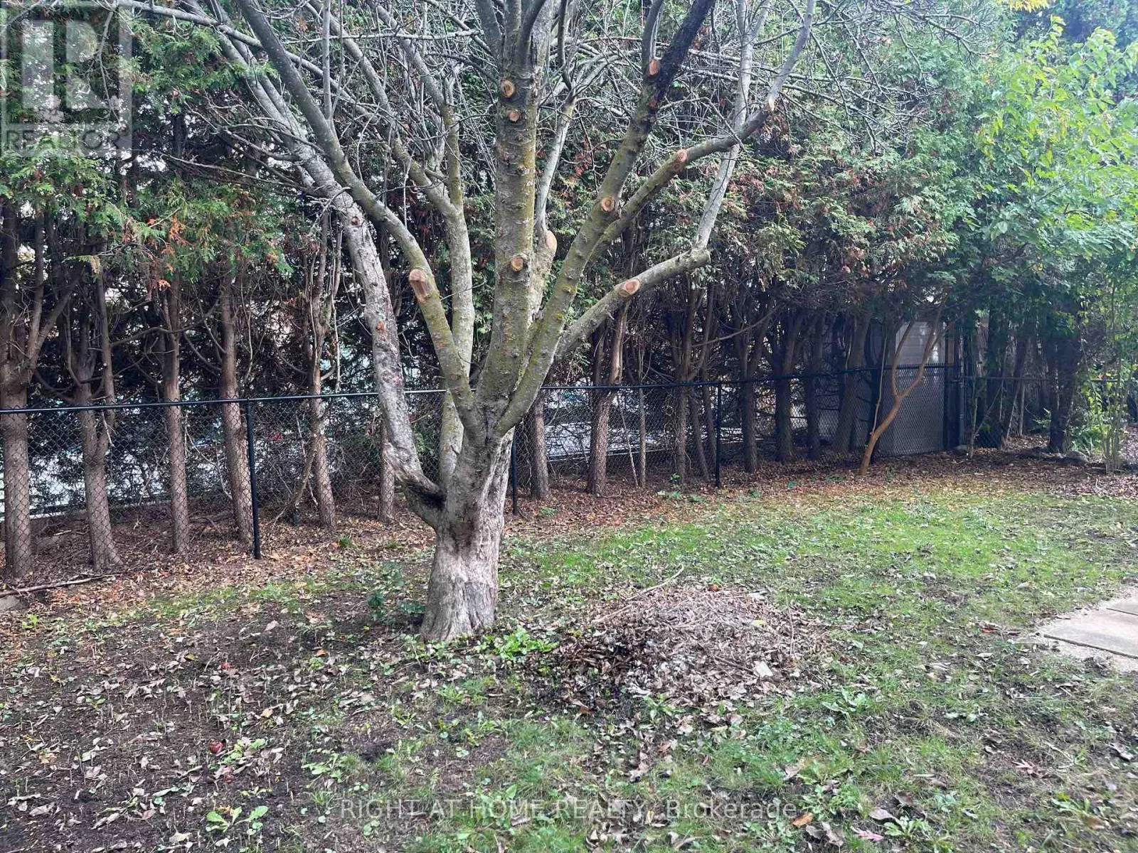 UPPER UNIT - 139 RIVERVIEW STREET