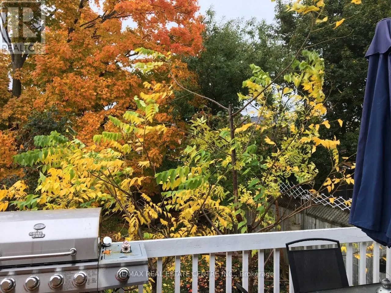 452 DELREX BOULEVARD