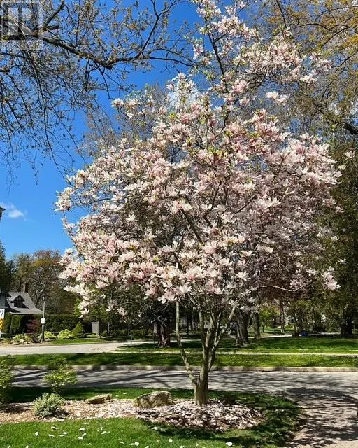 206 ROSSMORE BOULEVARD