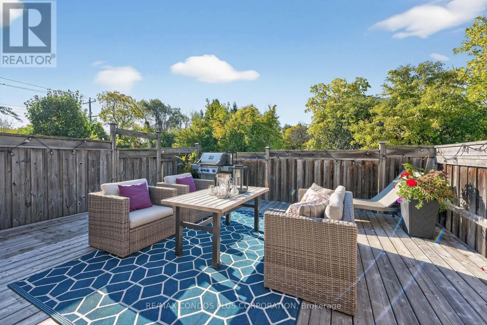 4 - 1491 PLAINS ROAD W