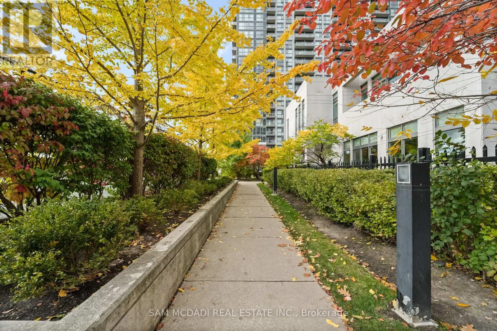 207 - 349 RATHBURN ROAD W