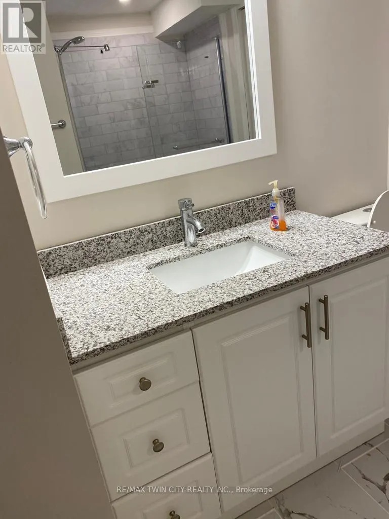 BASEMENT - 1527 LEGER WAY