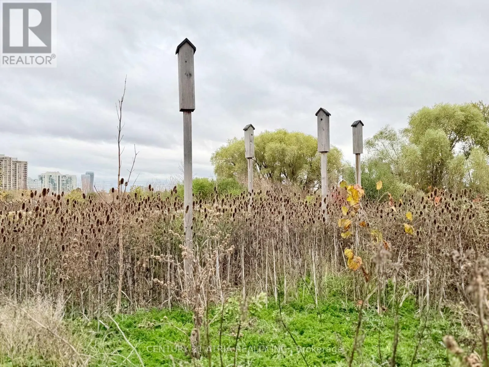 110 LITTLE CREEK ROAD