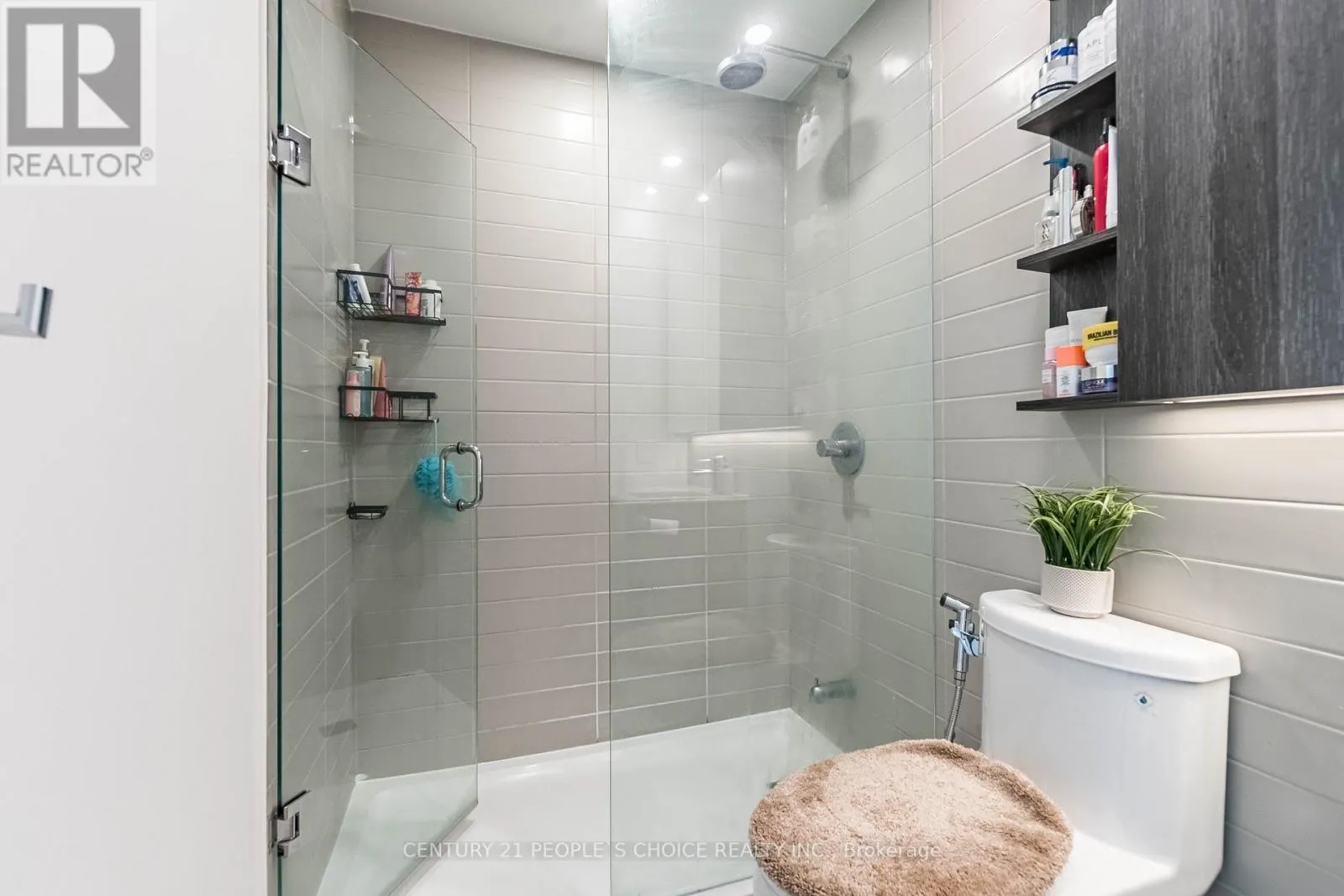 915 - 21 PARK STREET E