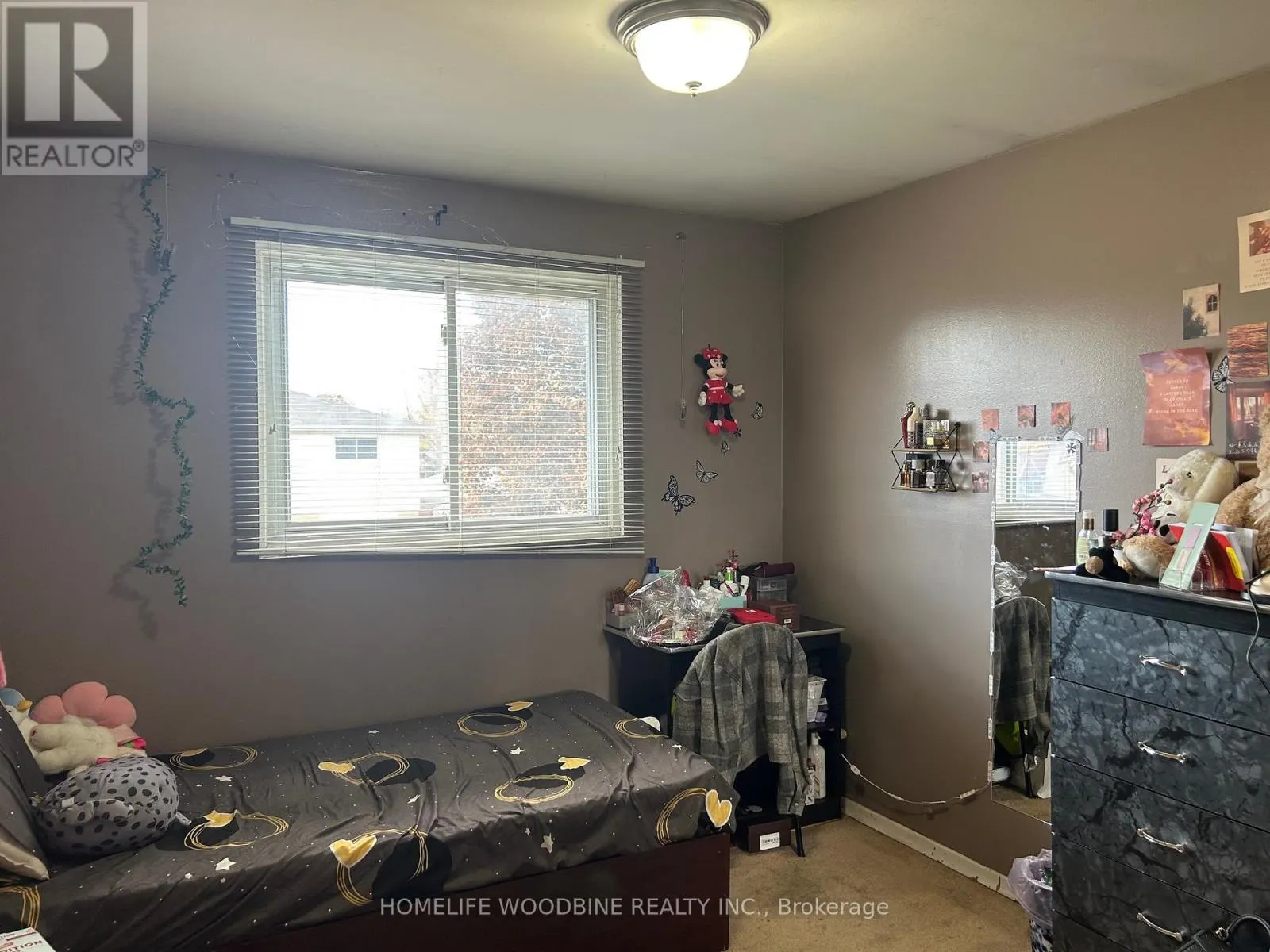 3341 MORNING STAR DRIVE