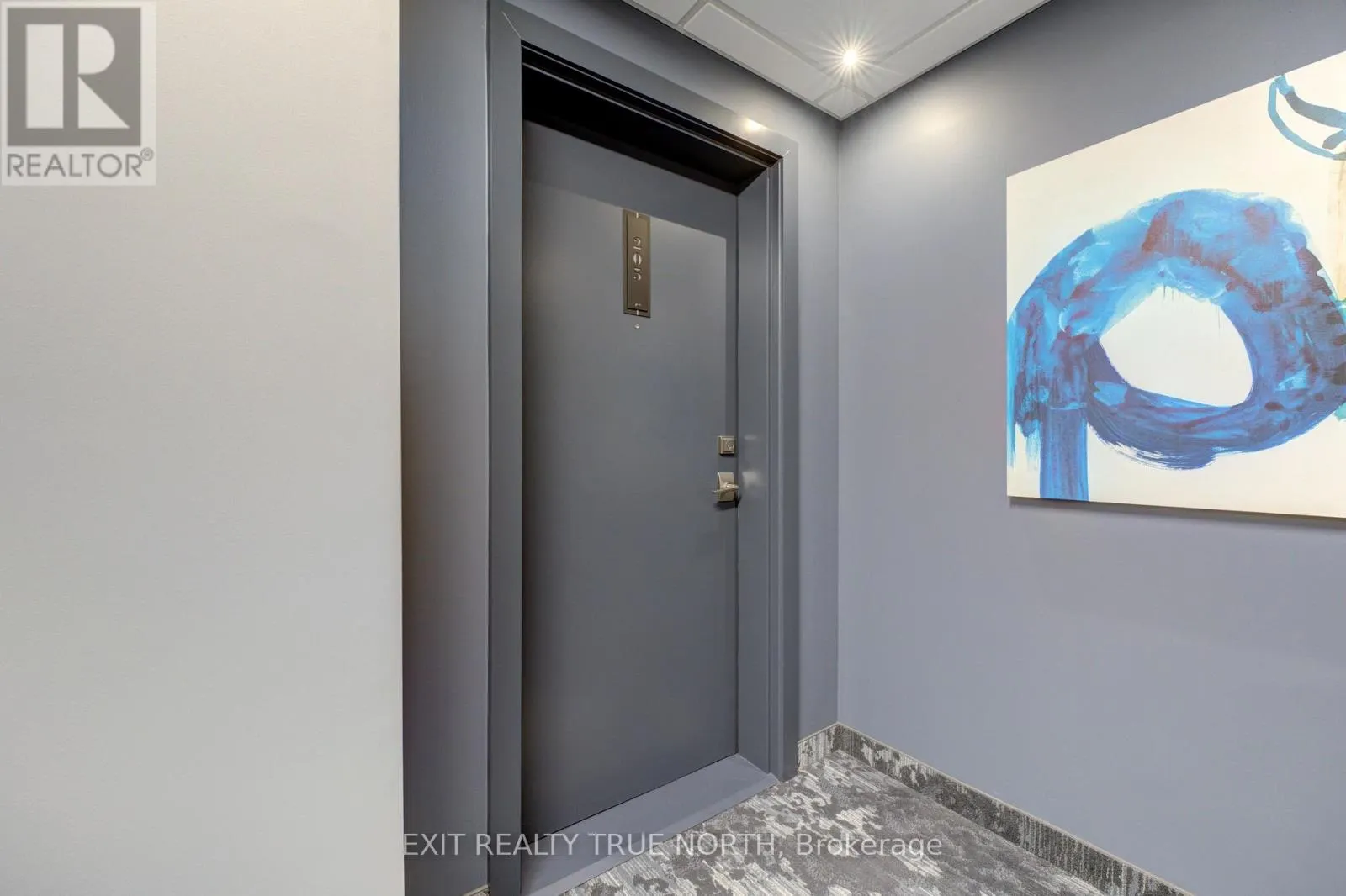 205 - 457 PLAINS ROAD E