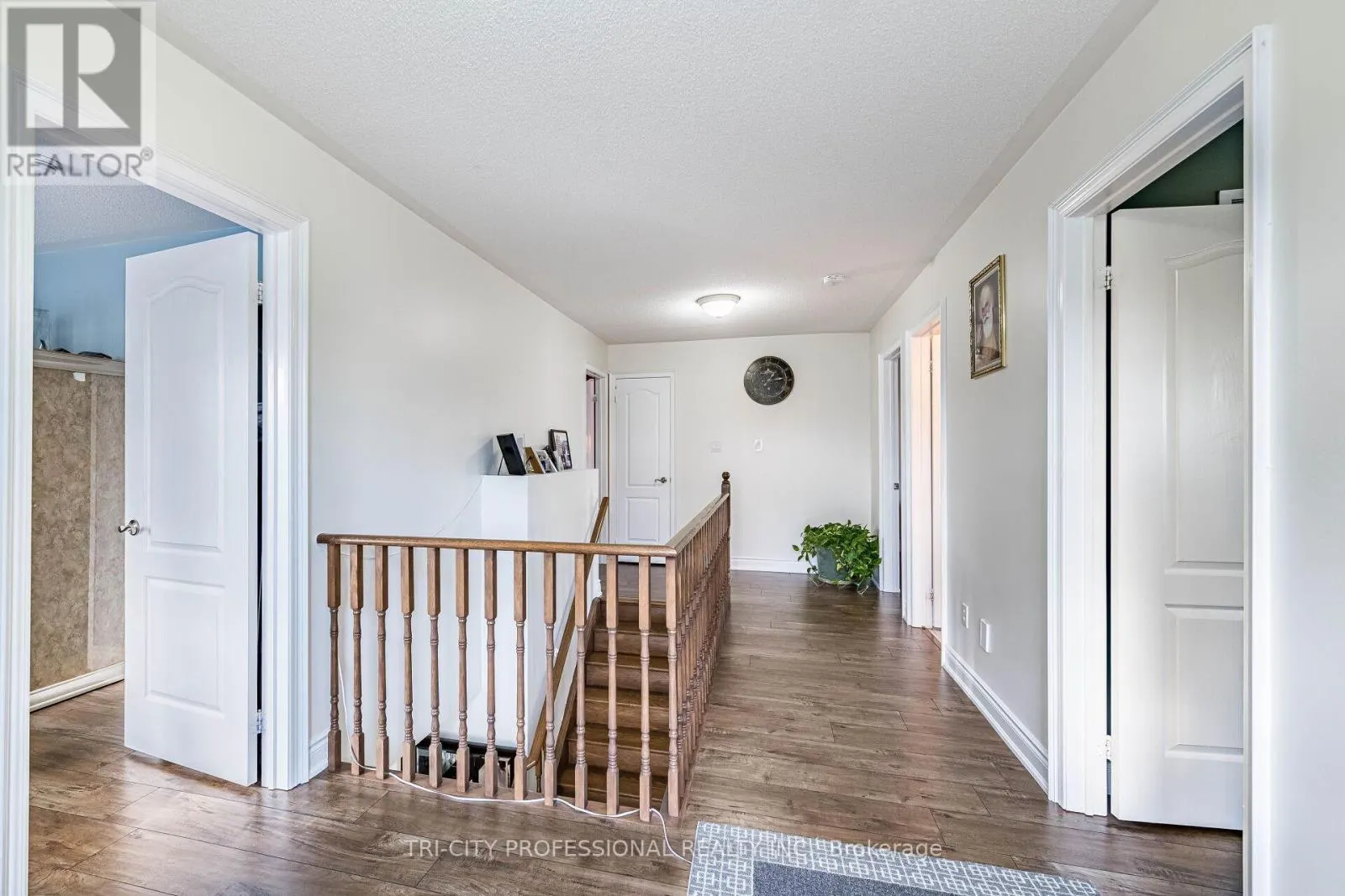 101 WILLIAMSON DRIVE